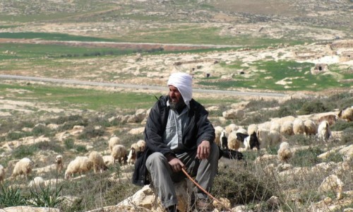 תעאיוש: טוואמין