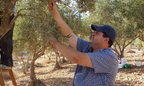 zakaria sada זאכריה סדה זכריה סדא