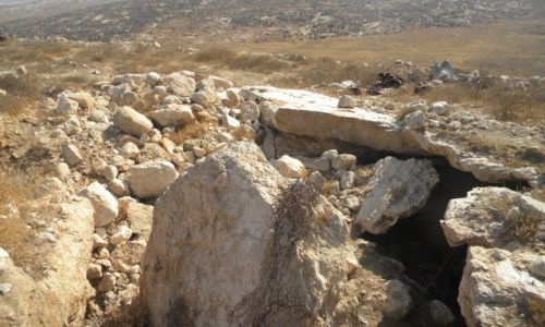 CC: taayush drawing water in Tawamin and demonstration in Hebron 2010