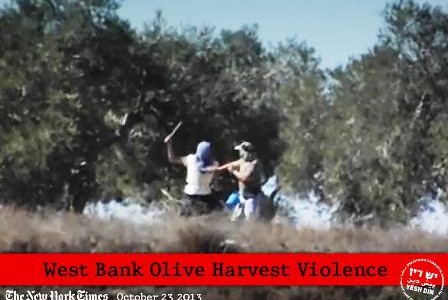 [Photo: From a video of a settler attack on olive harvesters near the village of Burin, October 21 2013