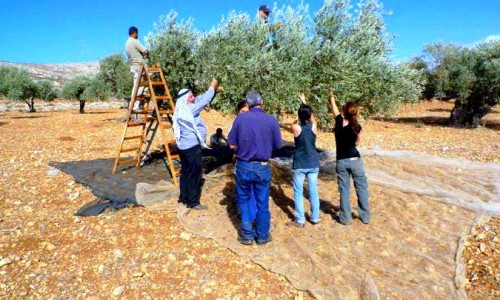 צילום: דף הפייסבוק של קואליציית המסיק