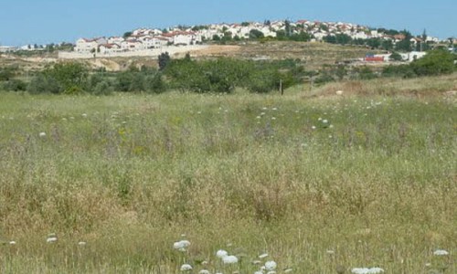 ההתנחלות גבעון החדשה ליד אל-חליילה. cc: aic