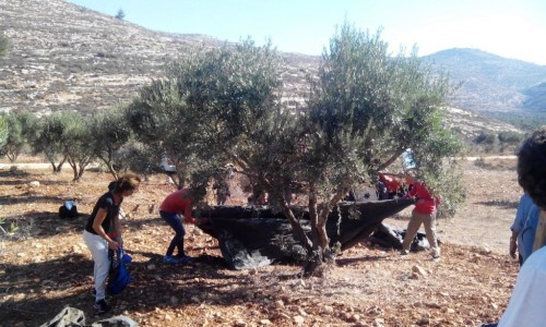 הצילום מתוך הנסיעה הראשונה שלנו למסיק סוכות