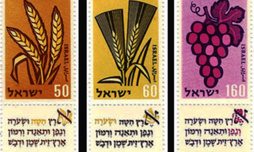 Cc: Wikipedia - Seven Species Stamps 1958 Zvi Narkiss | בתמונה: סדרת בולים "שבעת המינים" לכבוד מועדים לשמחה תשי"ט (ארבעת הבולים העליונים) בעיצובו של צבי נרקיס. סדרת בולים "שבעת המינים" לכבוד מועדים לשמחה תש"ך בעיצובו של צבי נרקיס